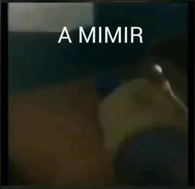 a mimir