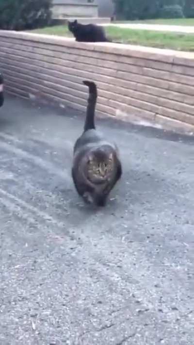 Ой