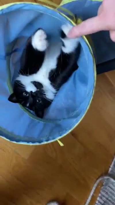 Peekaboo!
