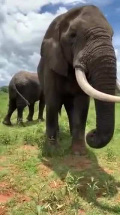 Lemme taste it,