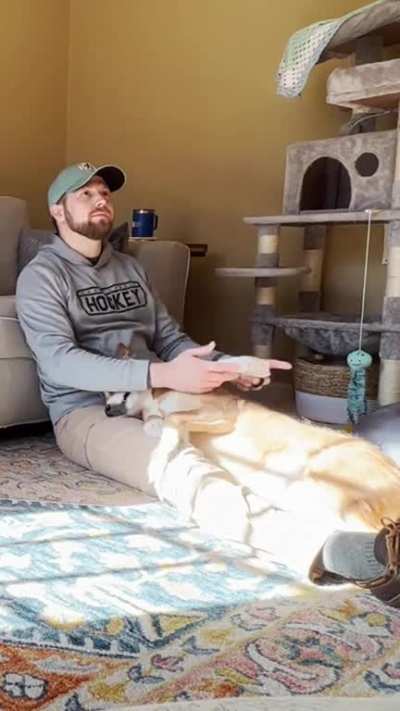 &ldquo;No more video games, human&rdquo;
