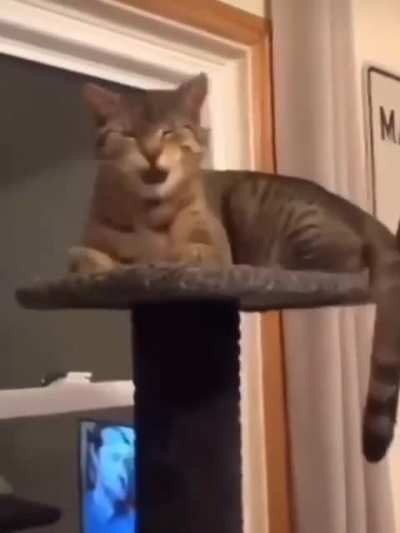 SOUND ON 😍 That's the sweetest "good morning" I've ever heard😱