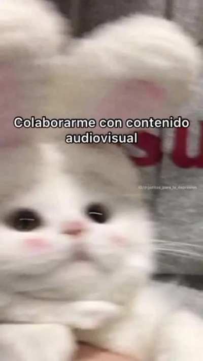 Uwu a mi Elfa