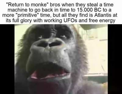 Return to monke bros