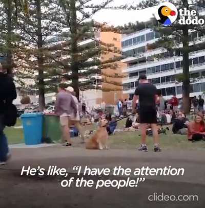 To stay at the park