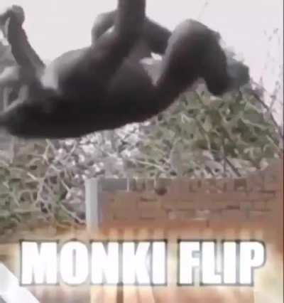 monke flip