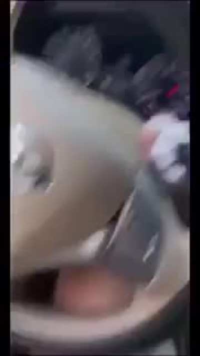 WCGW Driving past a guy throwing a snake