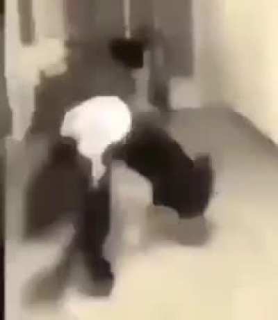 They walk