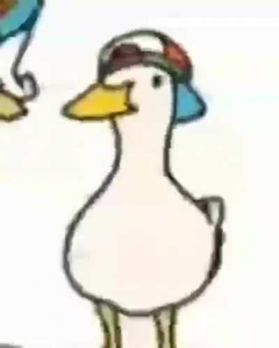 duck