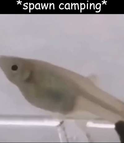 He live a whole second