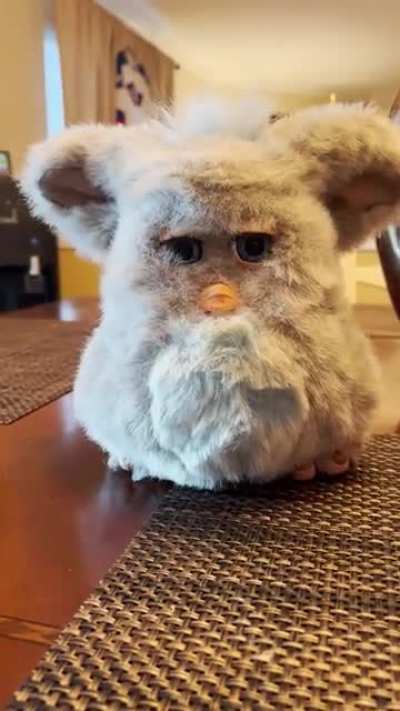 EVIL FURBY SAYS THIS AFTER 20 YEARS OF BEING TURNED OFF