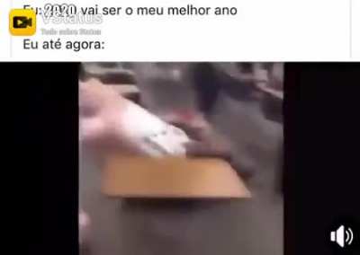 Gostei