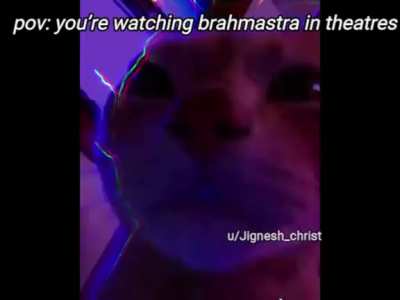 movie review