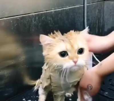 G&uuml;ne ballı &ccedil;&ouml;rek videosu ile başlayalım 🥰