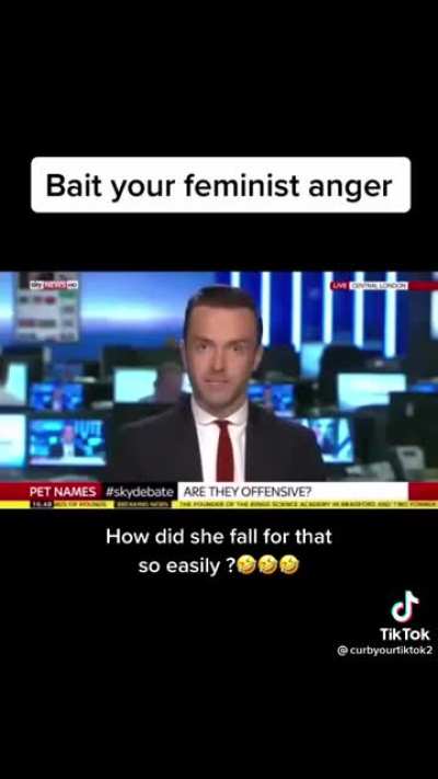 Sticks, stones and feminists