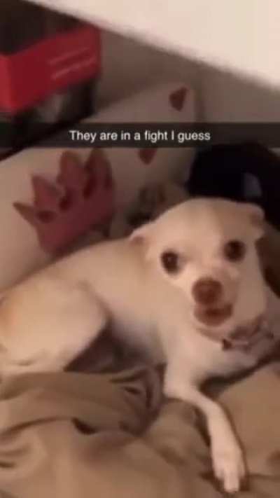 Louis want to say to you