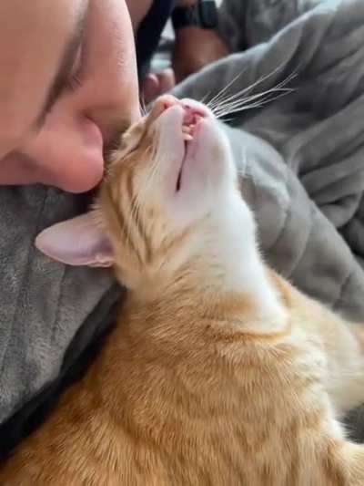 He is in heaven