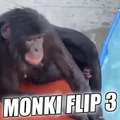 Ya est&aacute; aqu&iacute;&iexcl;!! Monki Flip 3!