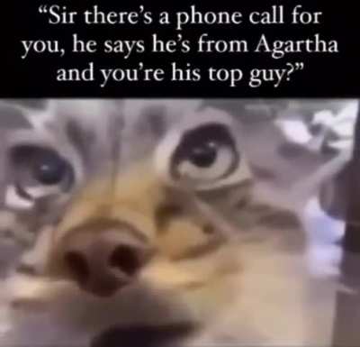 Loser call