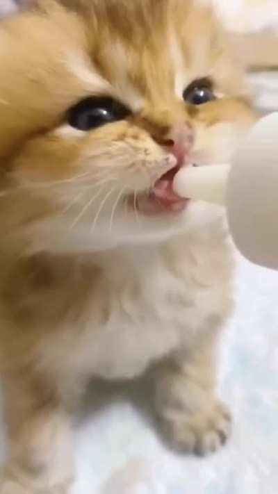 🥺
