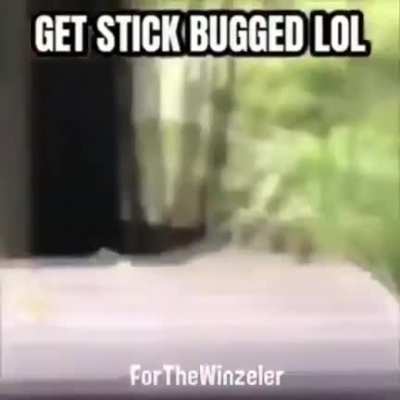 MEME DE LOST