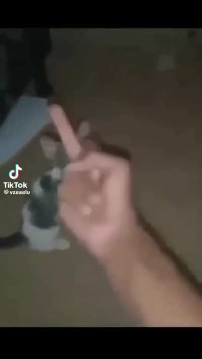 Tadinho dele