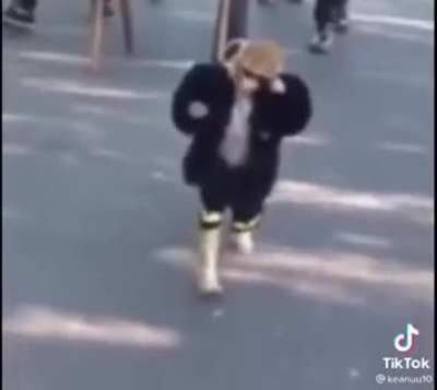Monkey never falls