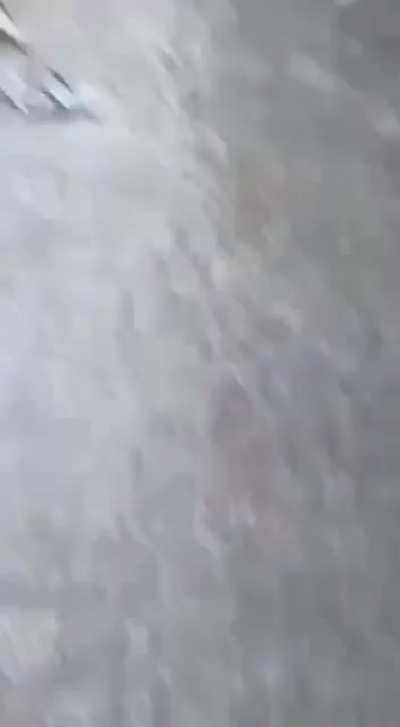 He stuck the landing