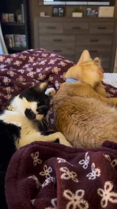 Perfectly aligned