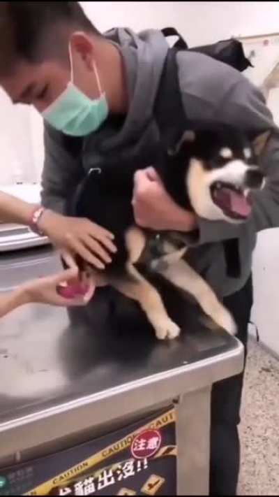 А звук как родной лёг