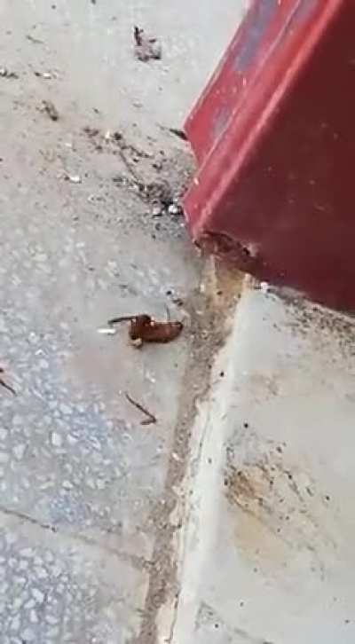 ...wow
