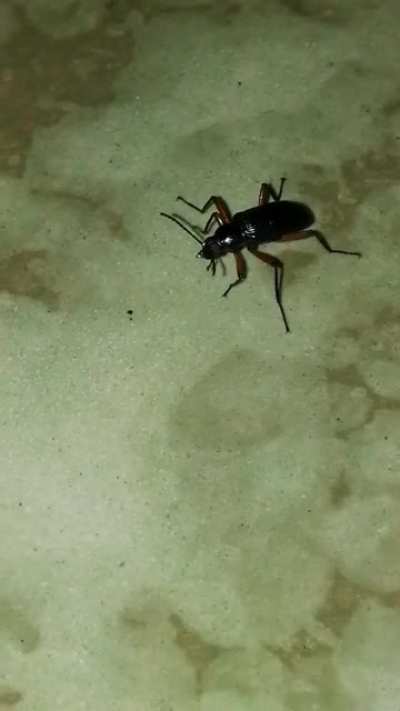 Found a bug