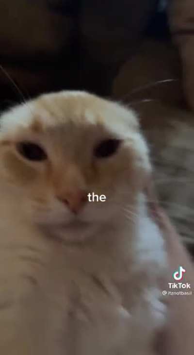 the