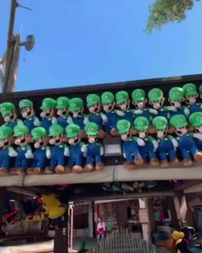 luigi_irl