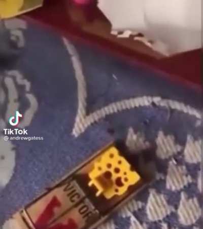 When the trap starts speaking Vietnamese