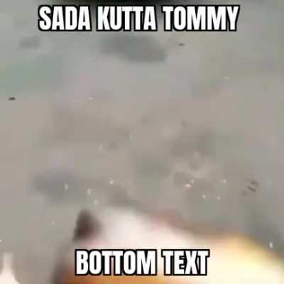 Doge is ded