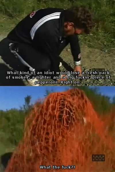 Pepperoni