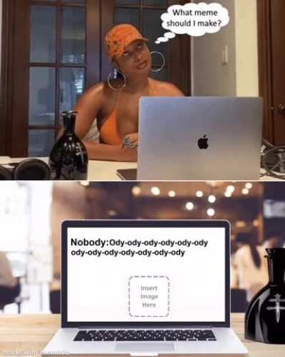 Nobody ody ody ody memes like Megan