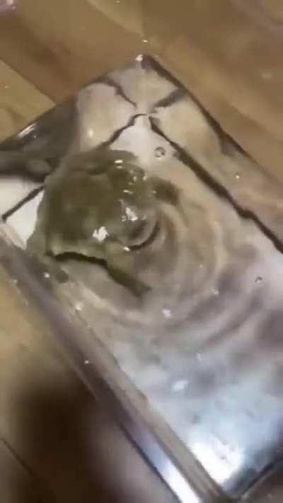 Tam s&ouml;verken mute yiyince olur gibi