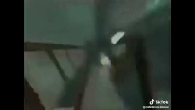 Loonashusband has come to our subreddit. Here is a gift for him.
