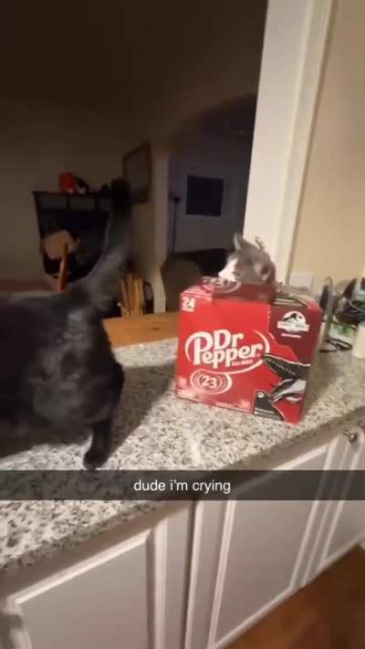 sneak box
