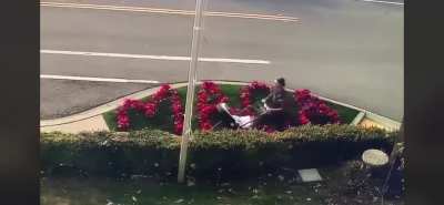 Woman destroys neighbors MAGA garden with her stroller
