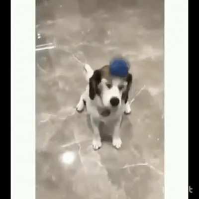 Did I do it?