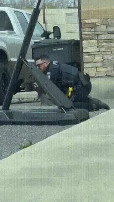Just a running pig