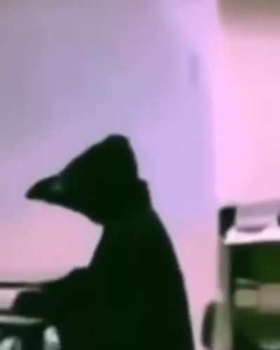 Ups