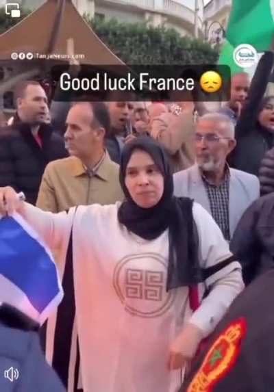 Burning a french flag in a pro-Palestine protest