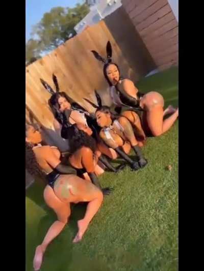 vid