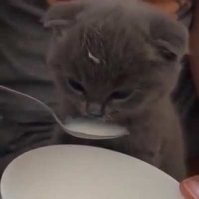 ᵐᶫᵉᵐ ᵐᶫᵉᵐ ᵐᶫᵉᵐ ᵐᶫᵉᵐ ᵐᶫᵉᵐ ᵐᶫᵉᵐ