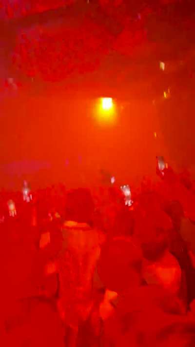 Rufus at Pacha 🍒