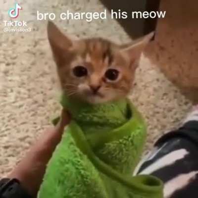 Super meow